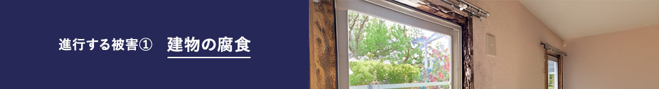 進行する被害① 建物の腐食