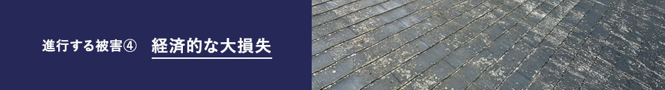 進行する被害④ 経済的な大損失