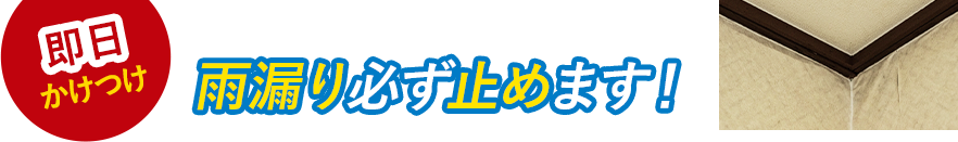 即日かけつけ 白山市で雨漏りにお悩みの方へ 雨漏り必ず止めます!