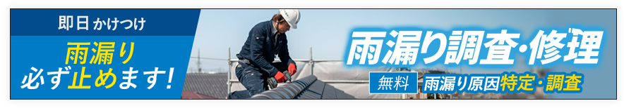 雨漏り調査・修理