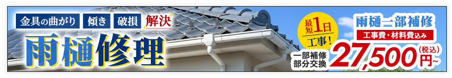 雨樋修理