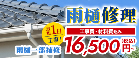 雨樋修理