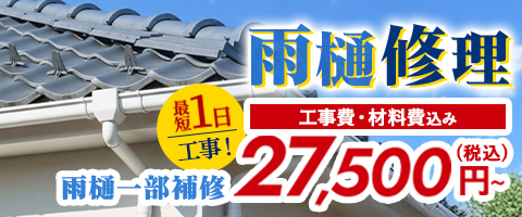 雨樋修理